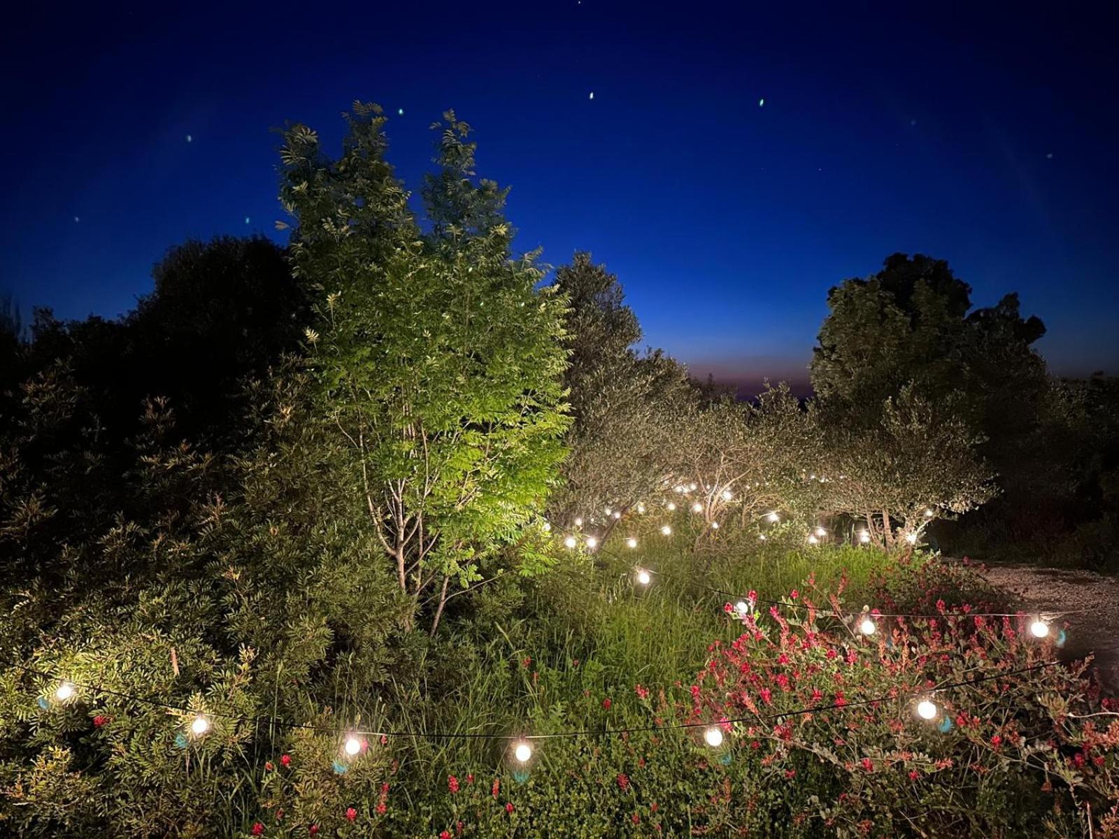 Glamping San Bart Ξενοδοχείο Σαν Βιντσέντσο Εξωτερικό φωτογραφία